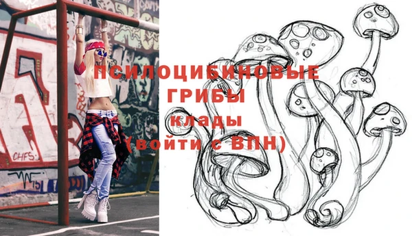 ALPHA-PVP Медногорск