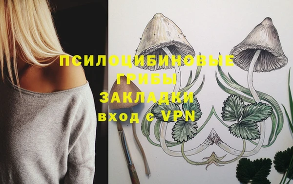 ALPHA-PVP Медногорск