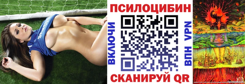 Псилоцибиновые грибы мицелий Поворино