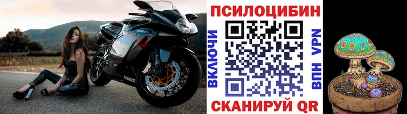 Псилоцибиновые грибы мухоморы  Поворино 